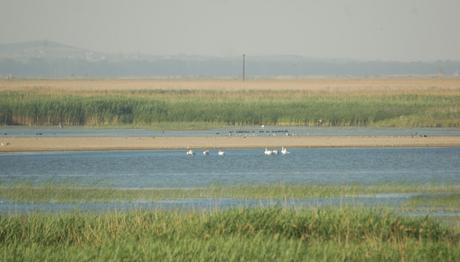 Örnek haber adı gelecek.