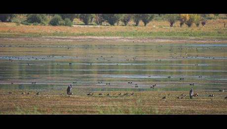 tohma vadisi gözlemi-malatya