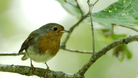Saka gölünde birkaç saat.