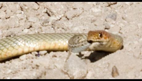 Örnek haber adı gelecek.