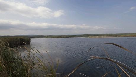 Mert Gölü-İğneada