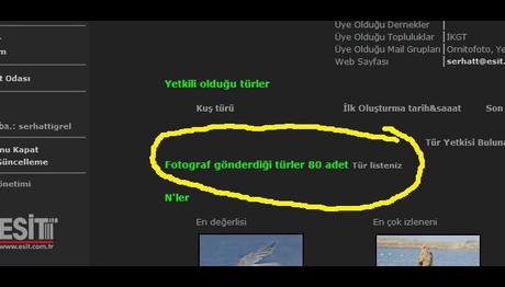 Hangi Türleri Belgelediniz