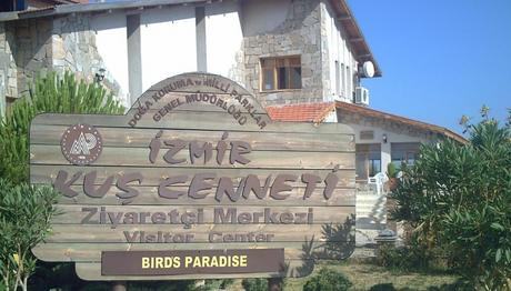 Gediz deltası gözlemim