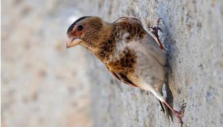 hafta sonu gözlemlerim