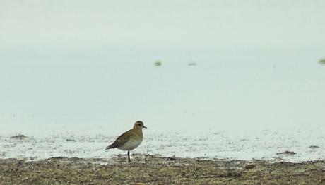 16 Aralık Karakaya gözlemi-Malatya
