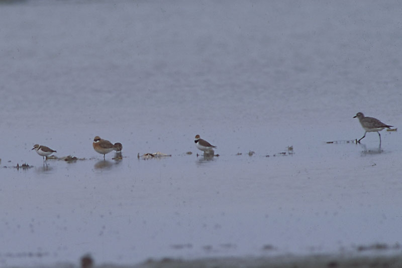 tur-listemize-yeni-tur