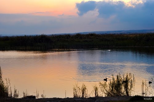 mogana-deniz-ucagina-tepkiler-buyuyor!