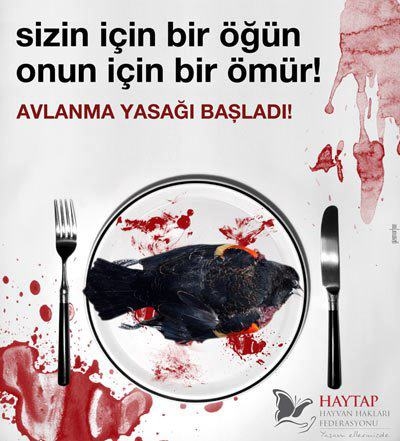 avlanma-yasagi-basladi!!