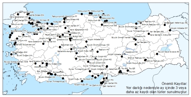 2008-2012-yillari-arasi-mart-ayinda-gorulen-turler---