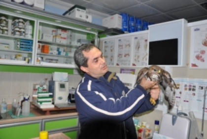 onlari-avlamak-yerine-fotograflayin!!!