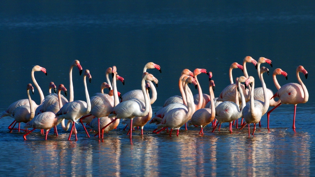 burdur-golune-sadakat-yolculugu