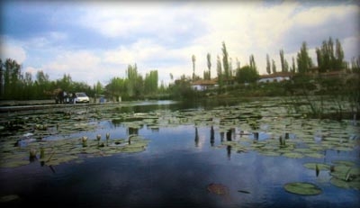 seyfe-golu\nun-misafirleri