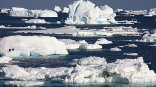 antartika\daki-buz-katmani-neden-genisliyor
