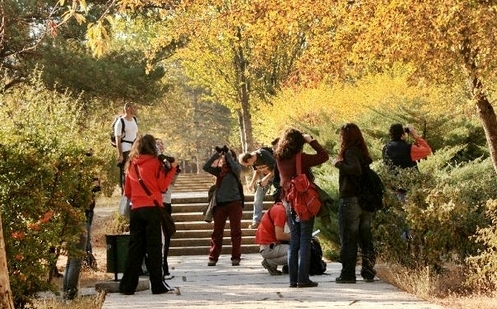 \adanada-yerel-kus-merkezi\-yapilsin-onerisi