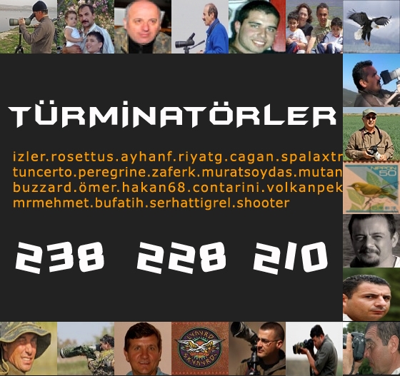 ilk-20