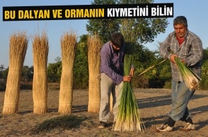 bu-dalyan-ve-orman-cok-farkli