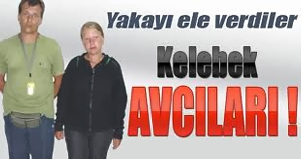 kelebek-kacakcisi-yabancilara-sucustu