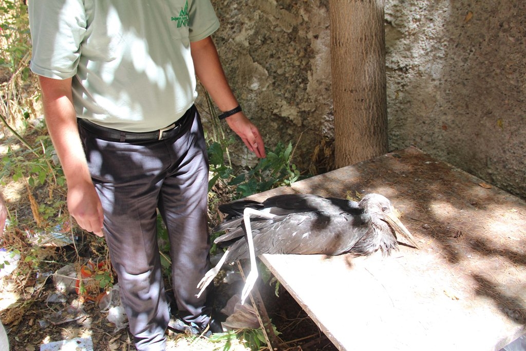 yukseklerdeki-muhtesem-suzuluslerine-devam-edecekler