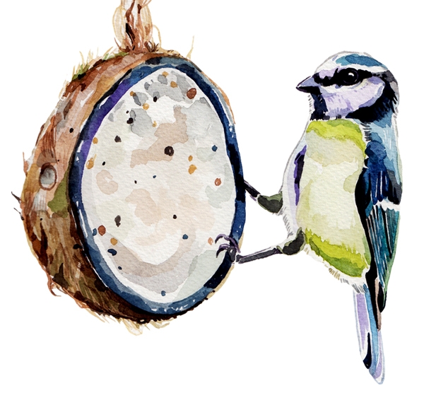 van\da-gocmen-kus-oteli