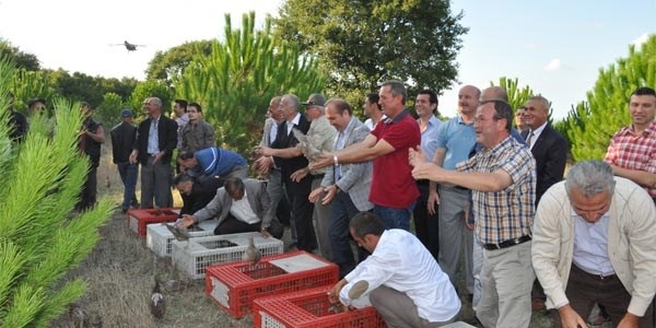 bafrada-300-sulun-dogaya-salindi