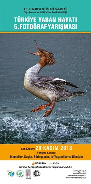 buyuk-yaris-basliyor-!