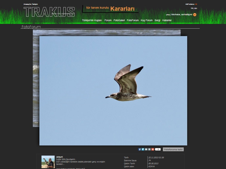 foto-forum