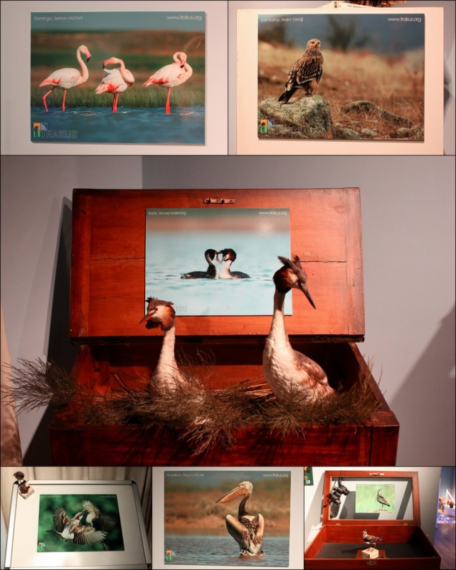 doga-bilimleri-merkezi-ziyareti!