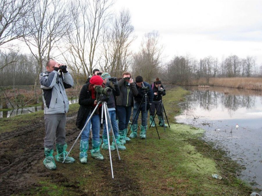 kosk-sayimlari-yaklasiyor