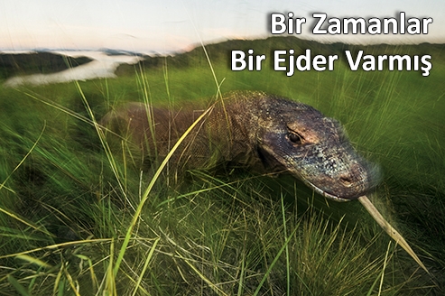 bir-zamanlar-bir-ejder-varmis