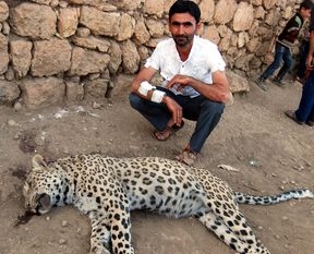 leopar-vuran-coban-\simdi-kus-gorsek-yonumuzu-degistiriyoruz\-dedi-ama--