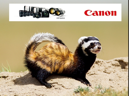 canon-un-subat-2014-secimi-alaca-sansar