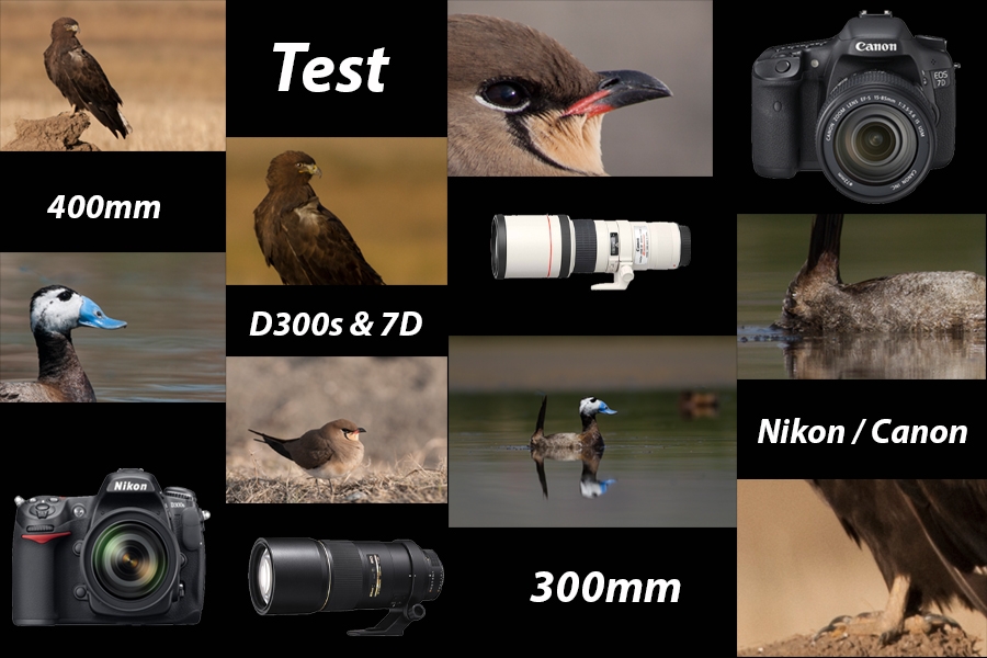 nikon-300mm-f4--canon-400mm-f5-6-test-