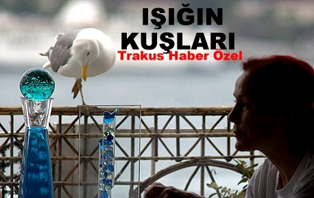 isik\in-kuslari