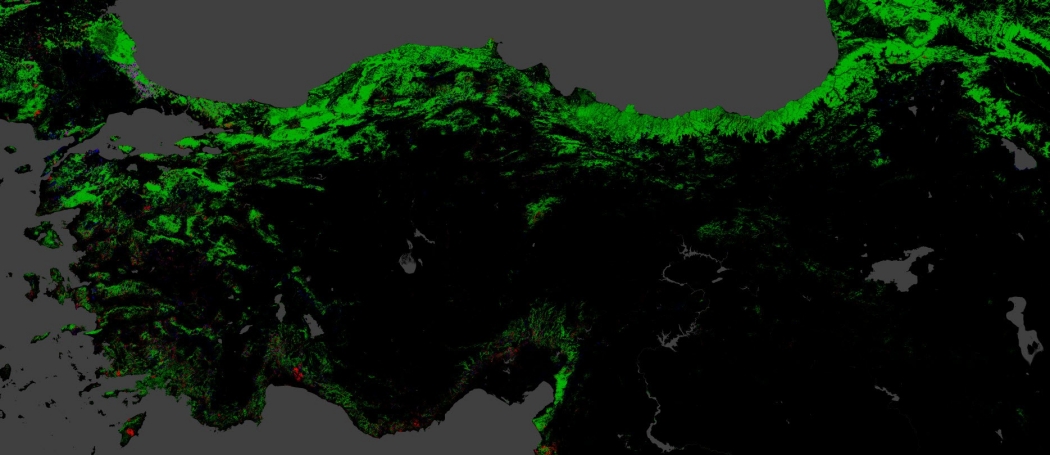 turkiye-12-yilda-iste-bu-kadar-orman-kaybetti