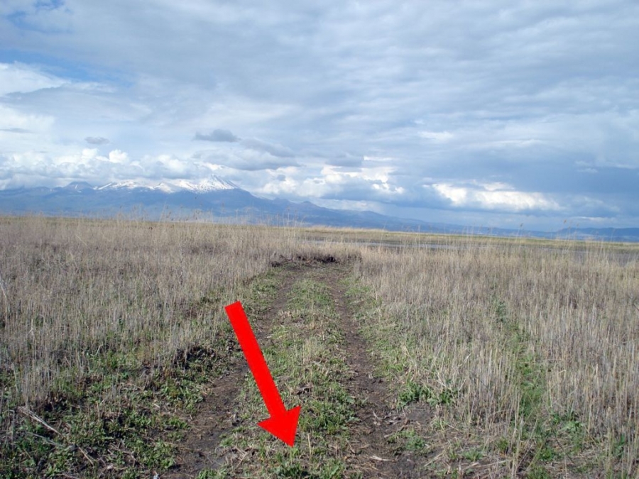 sultansazligina-vefa!