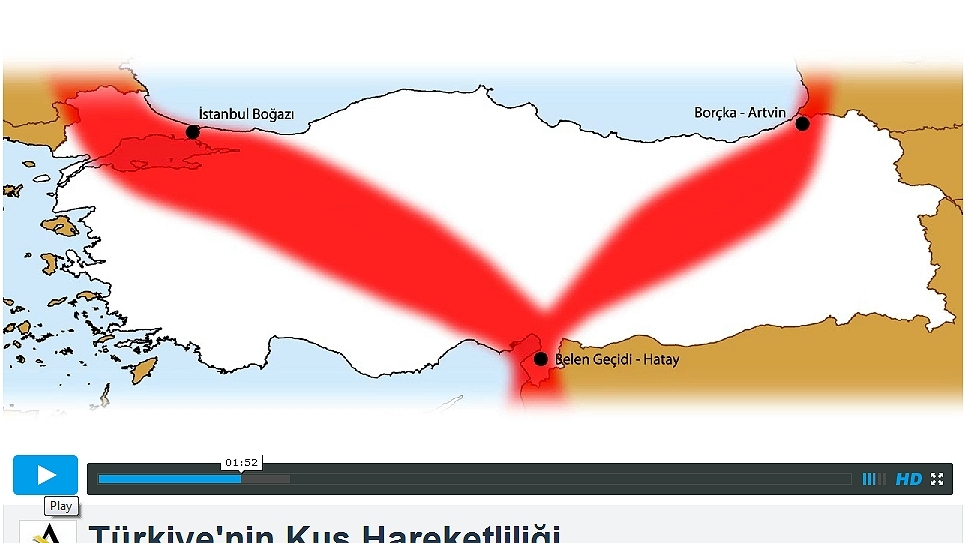 turkiye\de-kus-hareketliligi