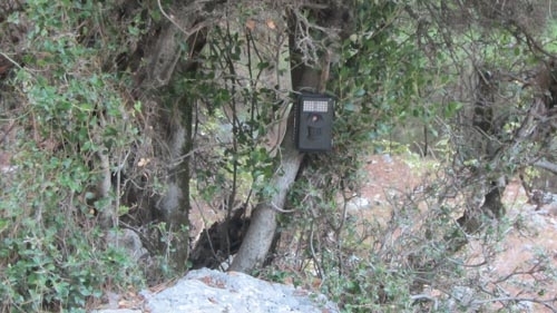 seytanin-aklina-gelmez