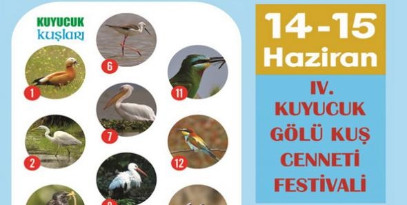 4--kuyucuk-golu-kus-cenneti-festivali-duzenlenecek