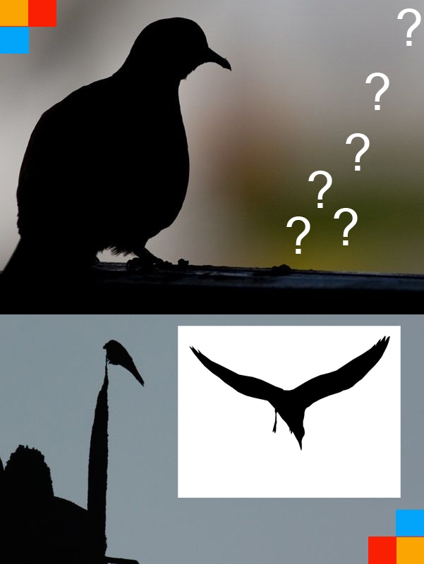 fotoforumda-senlik-var!