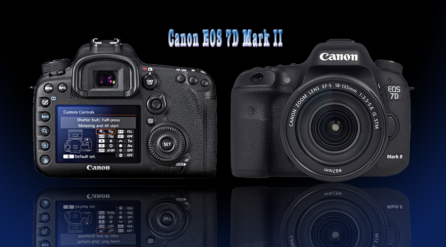 canon-eos-7d-mark-ll-ilk-izlenim--ali-senel\in-yeni-blog-yazisi