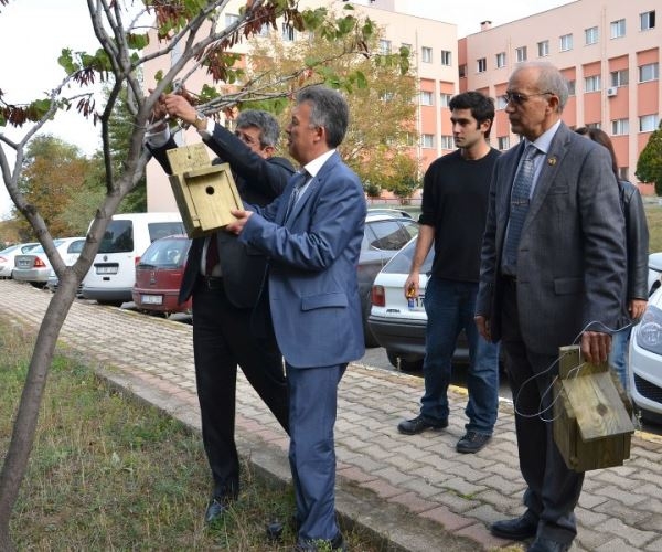 comu\lu-kuslar-evlerine-kavustu