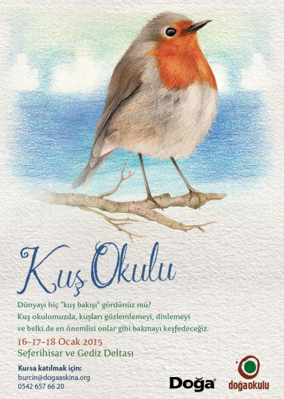 kus-okulu