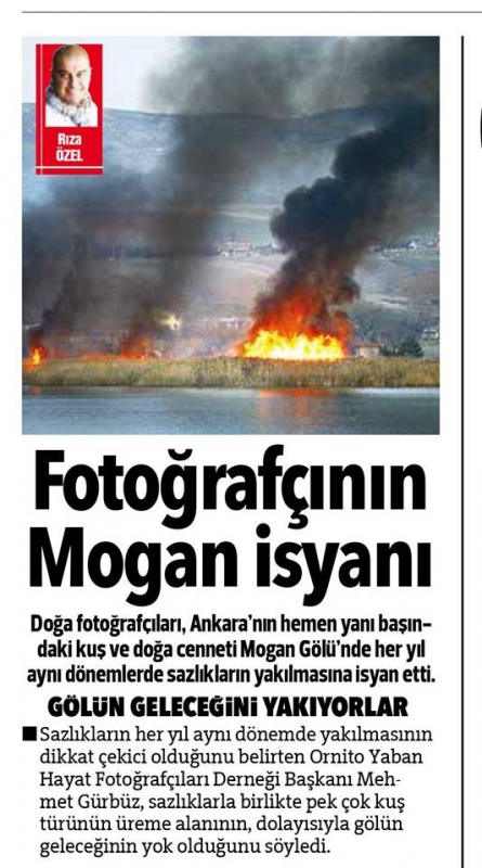 doga-fotografcisinin-mogan-isyani