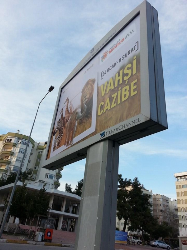 vahsi-cazibe-antalya\da