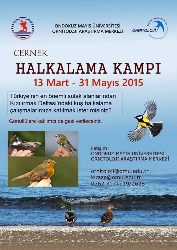 cernek\te-calismalar-basliyor