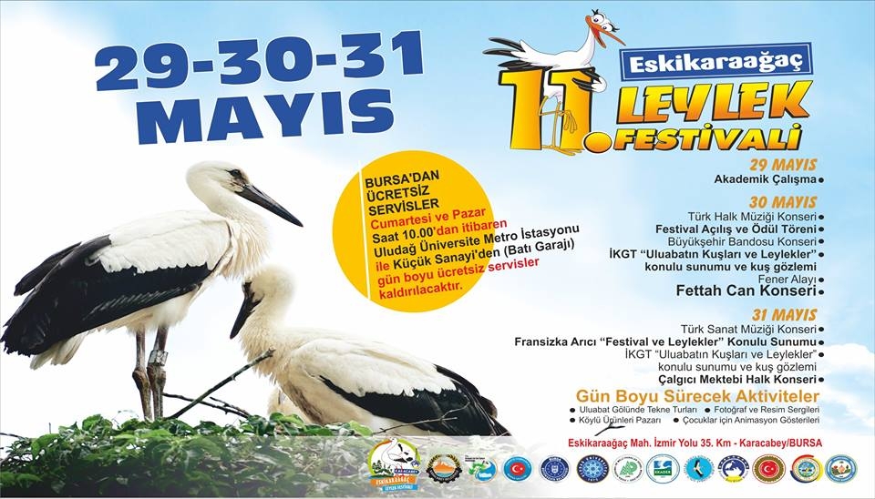 11--leylek-festivali