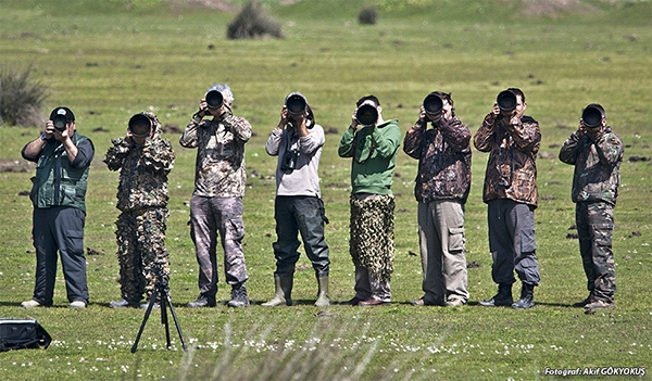 kus-fotografciliginda-ekipman-kombinasyonlari