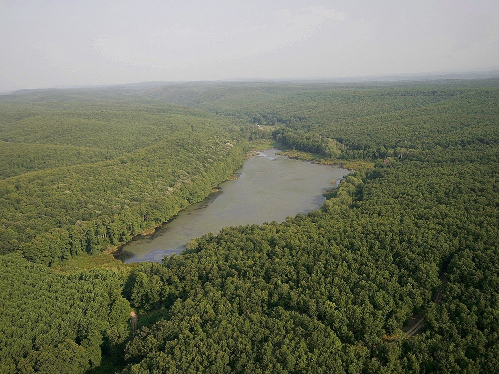 longoz\un-pedina\si-geri-dondu