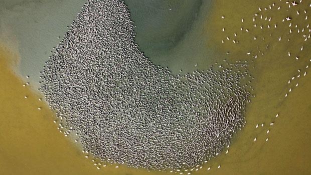 guzel-haber-izmir\den