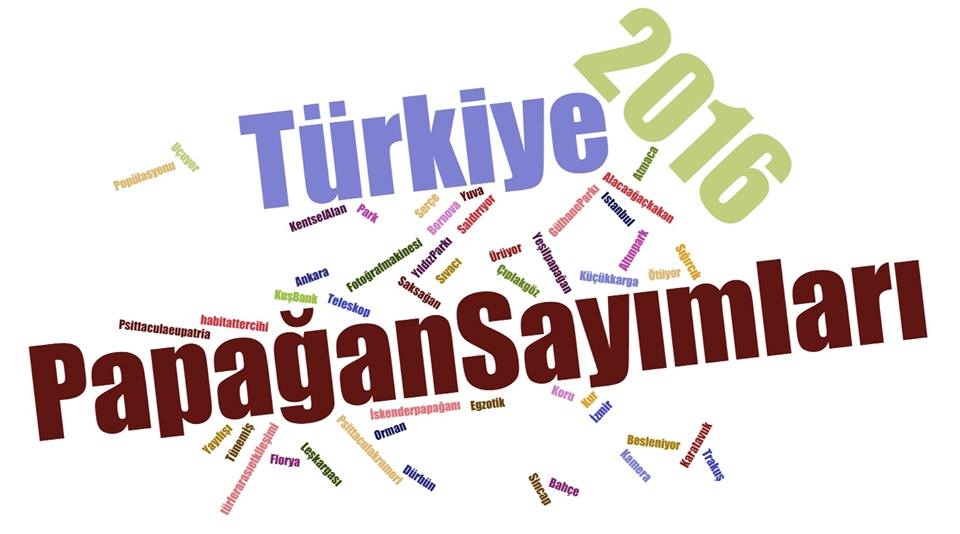 turkiye-papagan-sayimlari